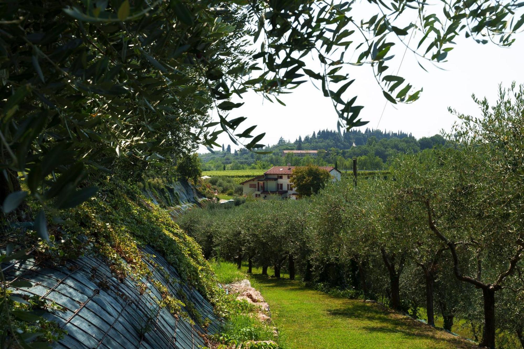 Bed and Breakfast Residenza Vesentini Pastrengo Esterno foto